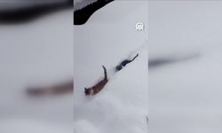 Kastamonu'da imamın çağrısına kedilerden yanıt gecikmedi