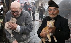 Kedisine sarıldığı fotoğrafla hafızalara kazınmıştı... Ali Meşe vefat etti