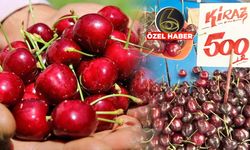 Kiraz neden yok? TÜİK verileri sorunun cevabını verdi: Yüzde 70 düşüş