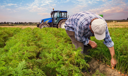 Kırsal kalkınmaya milyarlar akıyor! İşte o şehirler…