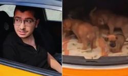 Sahiplendiği köpekleri öldüren doktor hakkında flaş karar!