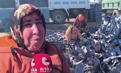 Osmaniye'de lahana tarlasında çalışanın işçiden ücretlere ve sigortasızlığa tepki