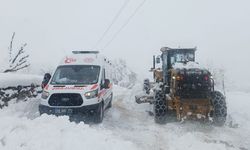 Malatya'da kar fırtınası nedeniyle mahsur kalan sağlık ekipleri kurtarıldı