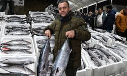 Marmara'da 40 yılın mucizesi! Deziden Torik fışkırdı: Fiyatlar yarıya indi