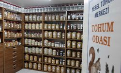 Muğla'dan çıkan 22 milyon ata tohumu toprakla buluştu