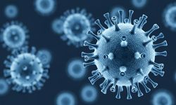 Nipah virüsü Türkiye'ye gelecek mi? Aşısı yok, Covid-19'dan 5 kat daha ölümcül