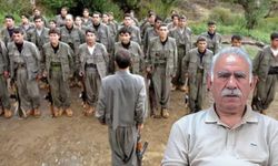 Tutanaklarda yayınlandı: Öcalan'ın "PKK'nın başındaki Türk" dediği isim