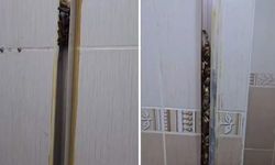 Evini öğrencilere kiraya verdi! Gördükleri karşısında ağlamaya başladı