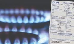 Doğalgaz faturasını düşürmenin '1 derece' kuralı: %6 tasarruf sağlıyor!