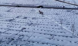 Malatya'da çocukların kar keyfi! Tepsi ve bidonlarla kaydılar