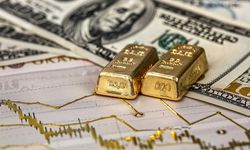 Merkez Bankası rezervleri 215 milyar doları aştı: Rekorlar serisi sürüyor