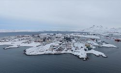 Amerikalılar Grönland'ı istiyor mu? Çarpıcı anket