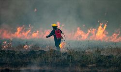 Arjantin'de 12 bin hektarlık alan kül oldu