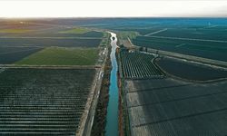 Türkiye’de hububat ve meyve tarımında son durum...