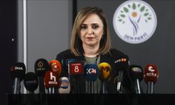 "Türkiye Suriye’nin demokratikleşme sürecinde sorumluluk almalı”