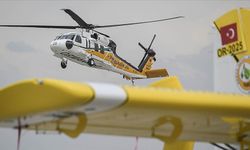 Ormanlar için 3 milyar lira kaynak! 188 milyon fidan üretilecek