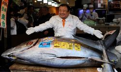 Tokyo'da mavi yüzgeçli ton balığı 3,2 milyon dolara alıcı buldu
