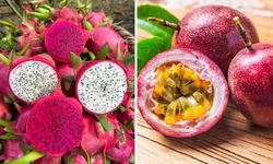 Tropikal meyveler artıyor: 8 meyve Milli Çeşit Listesi'nde