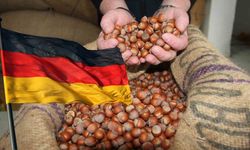 Türkiye en fazla fındığı Almanya’ya ihraç etti
