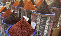 Türkiye'den dünyaya 4 bin ton pul biber ihracat edildi