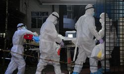 Nipah virüsü Türkiye için risk oluşturuyor mu? Uzman isim açıkladı