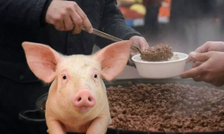 Aydın Valiliği, babasının hayrında 500 kilo domuz eti dağıttı iddialarının güncel olmadığı yönünde açıklama yaptı