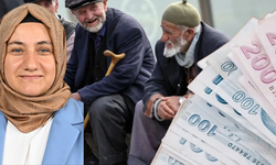 AK Partili meclis üyesinin emekliler ile ilgili sözleri sosyal medyayı karıştırdı