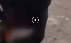 Zihinsel engelli şahsı ayağından bağlayıp vince asan şahıslar gözaltına alındı! | VİDEO