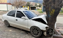 17 yaşındaki sürücünün ağaca çarpma anı kamerada!