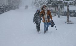 Kars, Ardahan, Tunceli ve Erzurum'da kar etkili oluyor