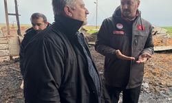 Tekirdağ'da çiftlik faciası: Alevler arasında kalan 100 koyun telef oldu