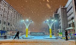 Erzurum'da kar yağışı etkili oluyor