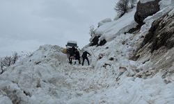 Hakkari'de çığ dayanışması: Köylüler öğrenci servisi için seferber oldu