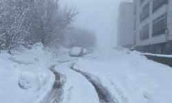 Karlıova'da 40 gündür süren kar yağışı hayatı zorlaştırıyor