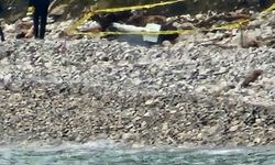 Sahile vuran gizemli cisim panik yarattı: Halka uyarı yapıldı