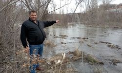Tokat’ta dereler taştı; ekin tarlaları sular altında kaldı