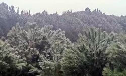 İstanbul’da yüksek kesimlerde kar yağışı başladı