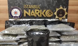 İstanbul'da uyuşturucu operasyonu: 22 kilo 450 gram skunk ele geçirildi