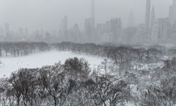 ABD'de OHAL: Kar fırtınası hayatı durma noktasına getirdi, evler elektriksiz kaldı