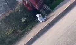 Dilenci kadınların kavgasında kucağındaki bebek yere düştü