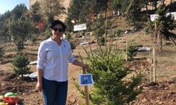 Oğlunun mezarı başında kalp krizi geçiren anne hayatını kaybetti