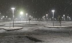 Van'da okullar tatil oldu