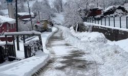 Bartın'da karla mücadele çalışmaları devam ediyor