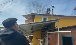 Bursa'da Yaren leylek bekleniyor! Eşi yuvada!