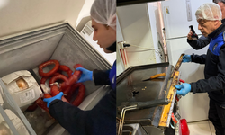 Bilecik'te mide bulandıran baskın! Zabıtanın girdiği fast food deposundan çıkanlar pes dedirtti