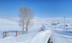 Ağrı beyaz örtüyle kaplandı