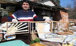 Amasya'da arılar sandık başında! Sonuçlar eylül ayında!