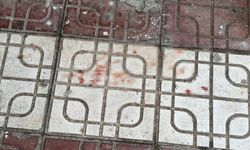 Ankara'da kan donduran vahşet: Cezaevinden izinli çıktı, annesini ve kızını bagaja koyup karısını öldürmeye gitti!