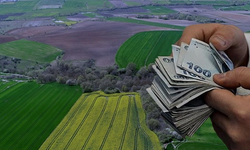 Arsa ve tarla satışları 2025’te 1,64 milyonu aştı
