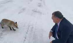 Artvin'in Şavşat ilçesinde yürekleri ısıtan görüntüler